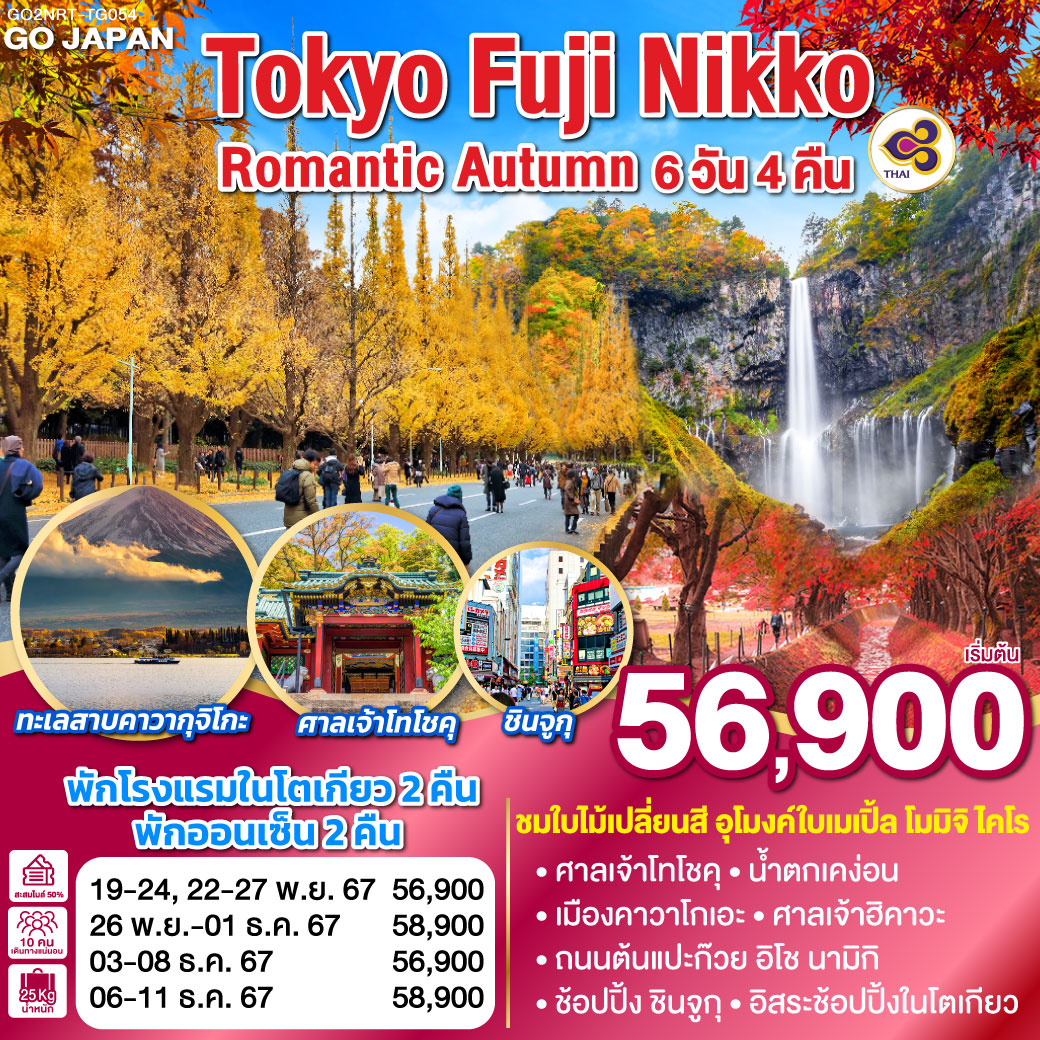 ทัวร์ญี่ปุ่น TOKYO FUJI NIKKO ROMANTIC AUTUMN 6วัน 4คืน (TG)